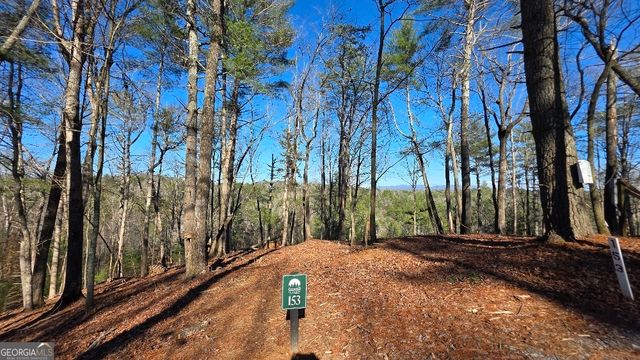153 Rhondas Way, East Ellijay, GA 30540