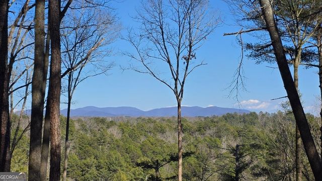 153 Rhondas Way, East Ellijay, GA 30540