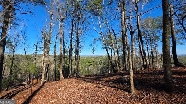 153 Rhondas Way, East Ellijay, GA 30540