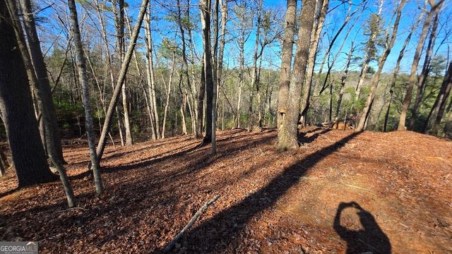 153 Rhondas Way, East Ellijay, GA 30540