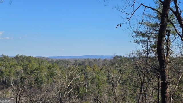 153 Rhondas Way, East Ellijay, GA 30540