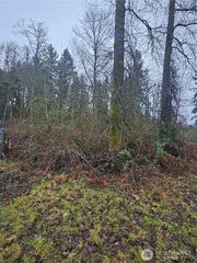 25905 96th Avenue E, Graham, WA 98338