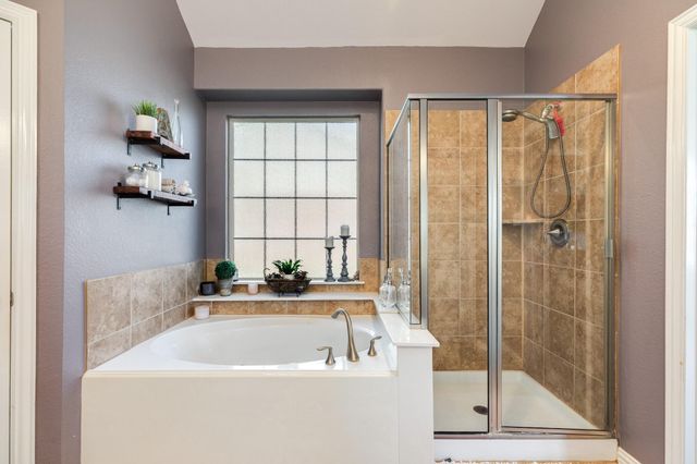 13805 Bright Canyon Lane, Rosharon, TX 77583