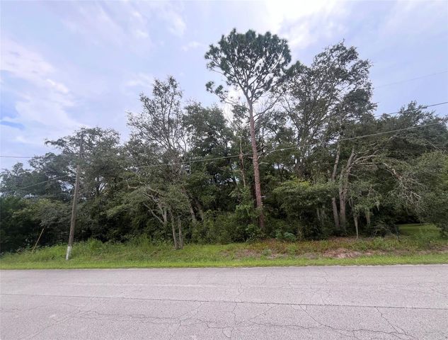 TBD SE 94TH AVENUE, Belleview, FL 34420