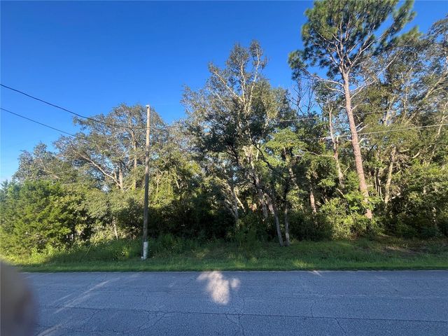 TBD SE 94TH AVENUE, Belleview, FL 34420
