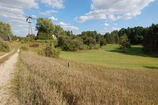 10352 80th Avenue, Evart, MI 49631