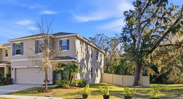 12403 PAGODA PLACE, Tampa, FL 33637