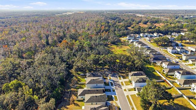 12403 PAGODA PLACE, Tampa, FL 33637