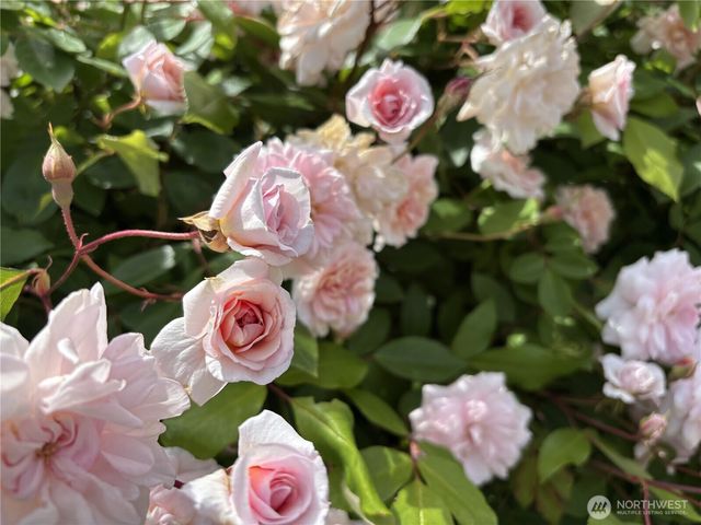 140 E Cedarland Lane, Allyn, WA 98524