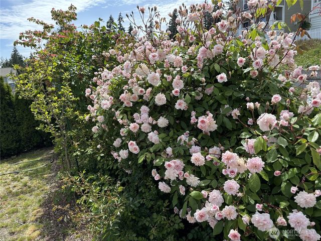 140 E Cedarland Lane, Allyn, WA 98524