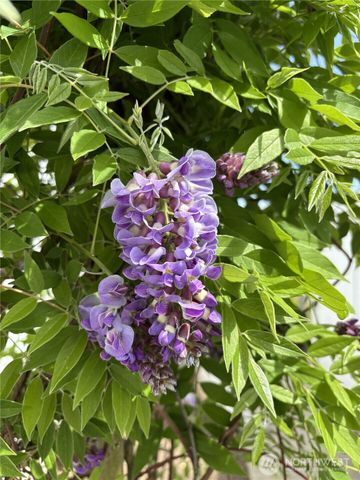 140 E Cedarland Lane, Allyn, WA 98524