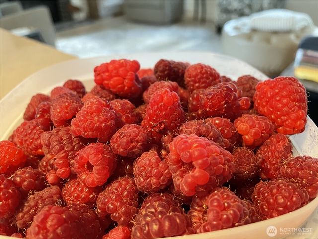 140 E Cedarland Lane, Allyn, WA 98524