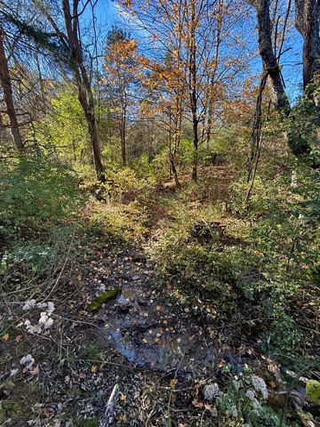929 Fisher Road, Foster, KY 41043