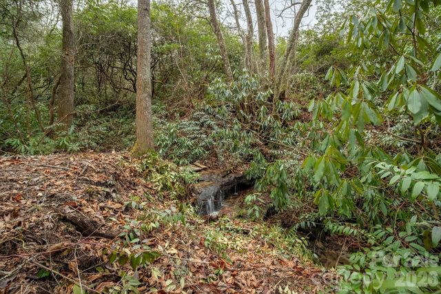 310 Sassafras Gap Lane, Brevard, NC 28712