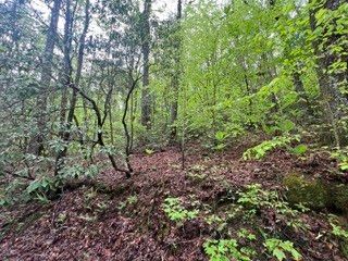 139 Bear Den Trl, Grandview, TN 37337