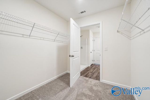 113 Birds Nest Lane, Toney, AL 35773