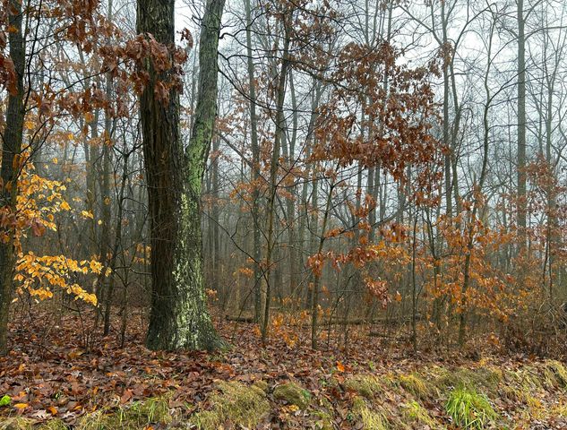 29870 Staats Road, Howard, OH 43028