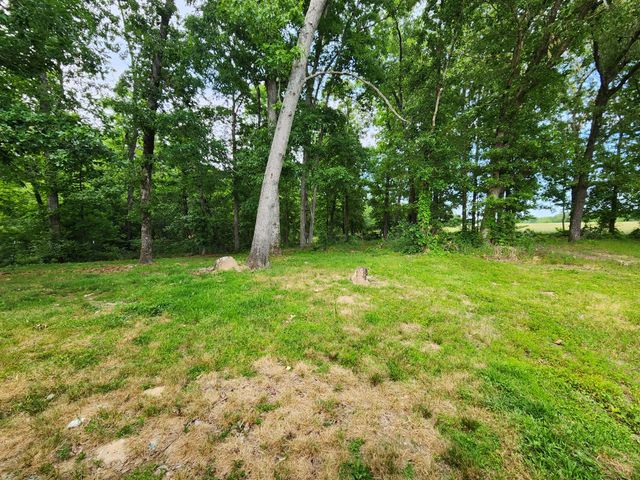 155 Sweetgum Ln, Summertown, TN 38483