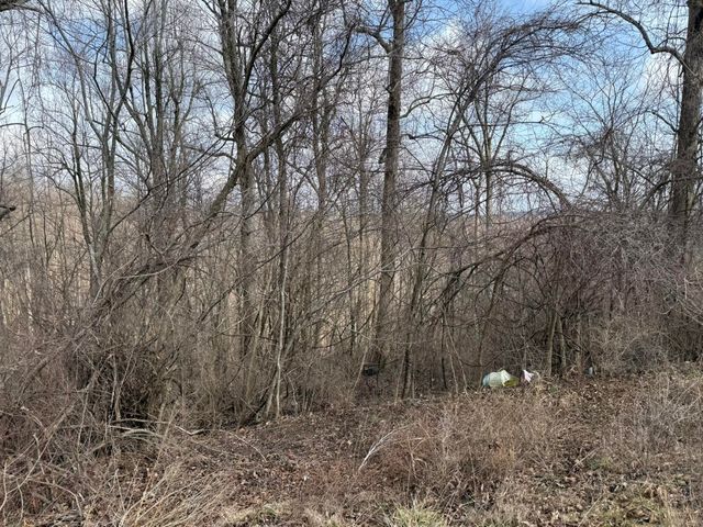 1605 Tennessee Ridge Road, Parksville, KY 40464