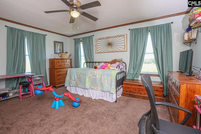 1479 Fire Tower Road, Prosperity, SC 29127