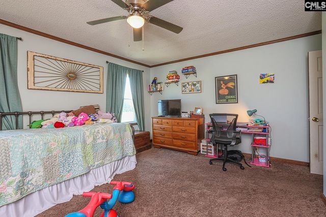 1479 Fire Tower Road, Prosperity, SC 29127