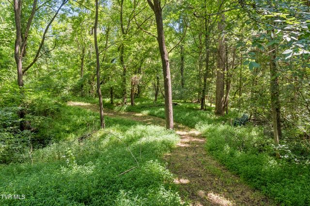 1690 Pleasant Grove Road, Bluff City, TN 37618
