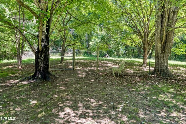 1690 Pleasant Grove Road, Bluff City, TN 37618