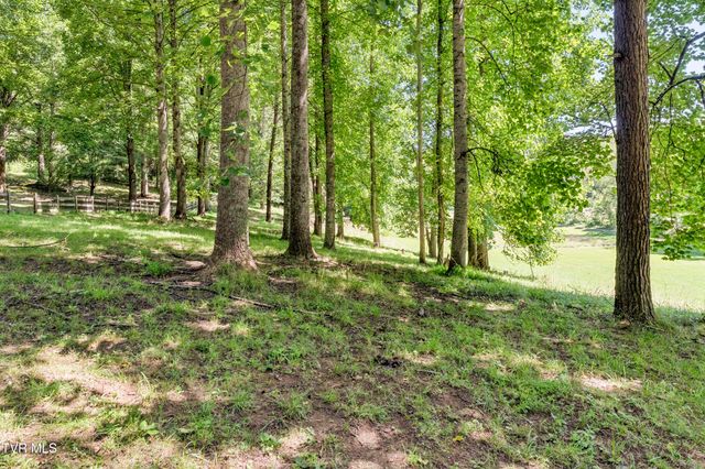 1690 Pleasant Grove Road, Bluff City, TN 37618
