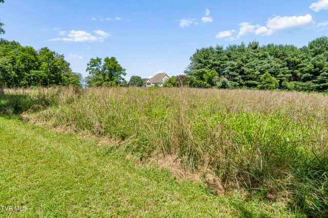 1690 Pleasant Grove Road, Bluff City, TN 37618
