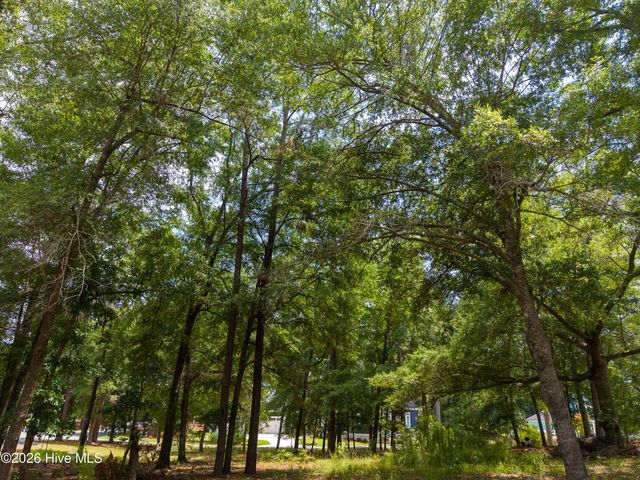 3627 White Cliffs Drive, Castle Hayne, NC 28429