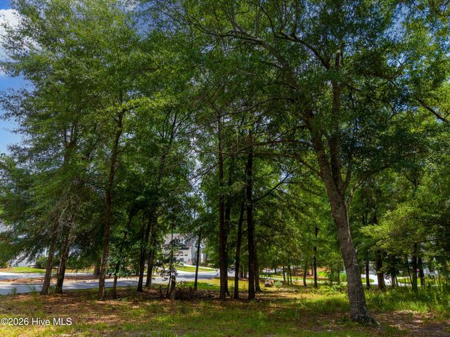 3627 White Cliffs Drive, Castle Hayne, NC 28429