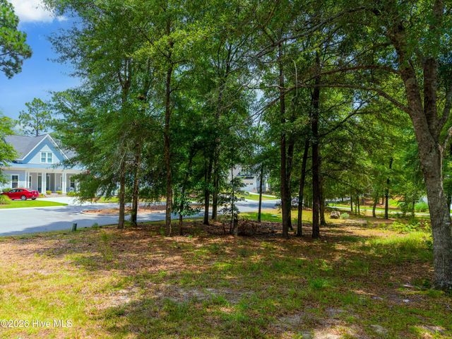 3627 White Cliffs Drive, Castle Hayne, NC 28429