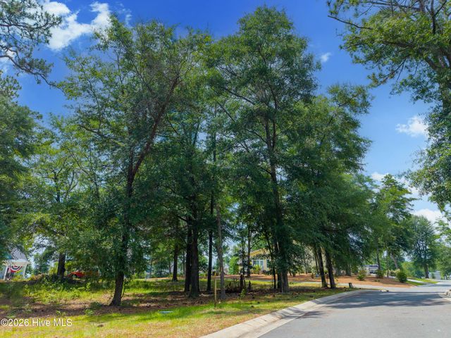 3627 White Cliffs Drive, Castle Hayne, NC 28429