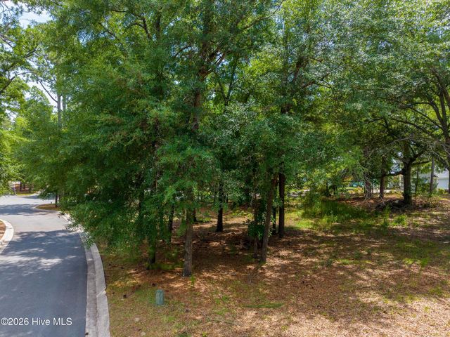 3627 White Cliffs Drive, Castle Hayne, NC 28429