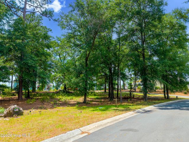 3627 White Cliffs Drive, Castle Hayne, NC 28429