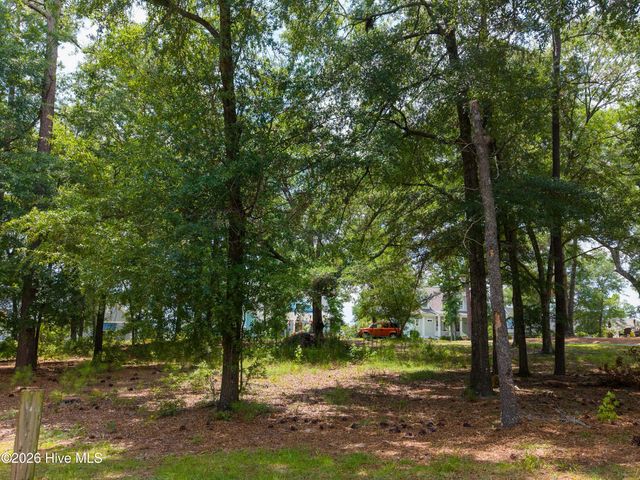 3627 White Cliffs Drive, Castle Hayne, NC 28429