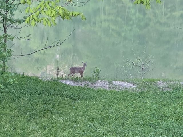 300 Palisades Road, Harrodsburg, KY 40330