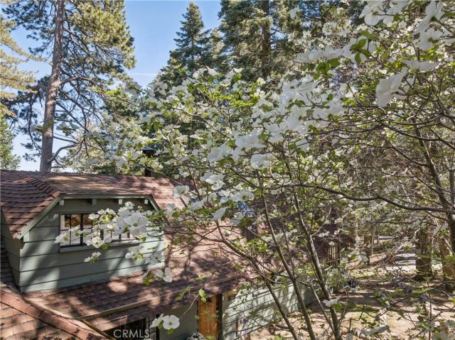 840 Coyote Walk, Lake Arrowhead, CA 92352