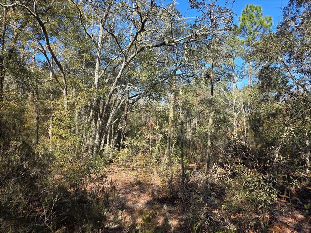 TBD NE 87TH PLACE, Bronson, FL 32621