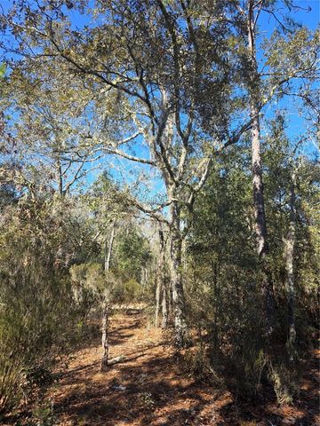 TBD NE 87TH PLACE, Bronson, FL 32621