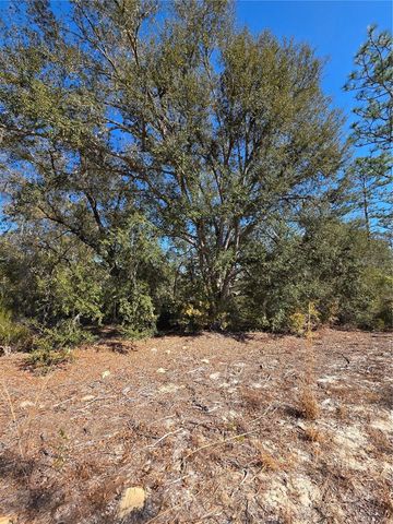 TBD NE 87TH PLACE, Bronson, FL 32621