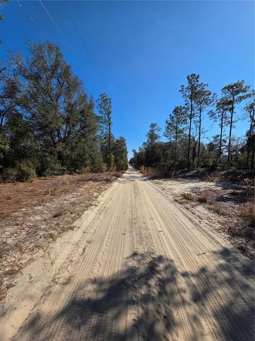 TBD NE 87TH PLACE, Bronson, FL 32621