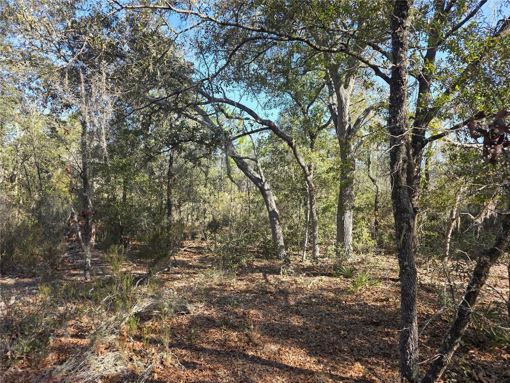 TBD NE 87TH PLACE, Bronson, FL 32621