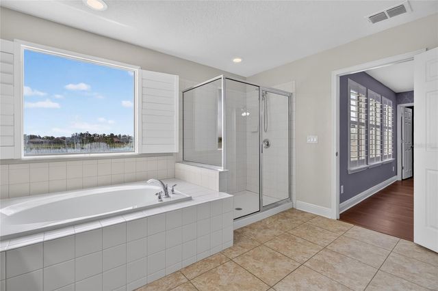 1806 NATURE VIEW DRIVE, Lutz, FL 33558