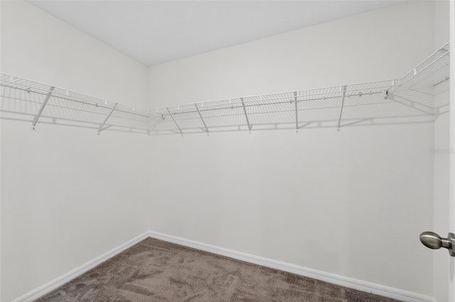 934 FENNEL SEED WAY, Ruskin, FL 33570