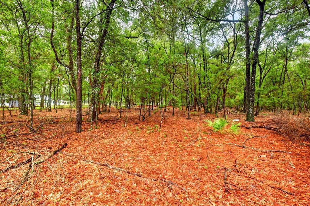 Image 46 of property listing at 7550 SW 185TH CIRCLE, Dunnellon, FL 34432