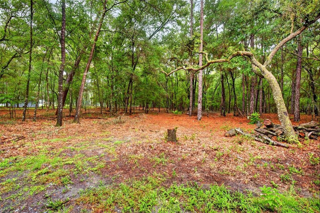 Image 47 of property listing at 7550 SW 185TH CIRCLE, Dunnellon, FL 34432