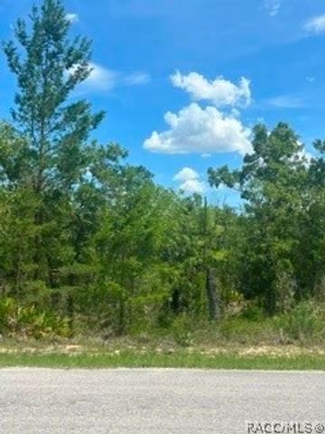 20 Smilax Court, Homosassa, FL 34446