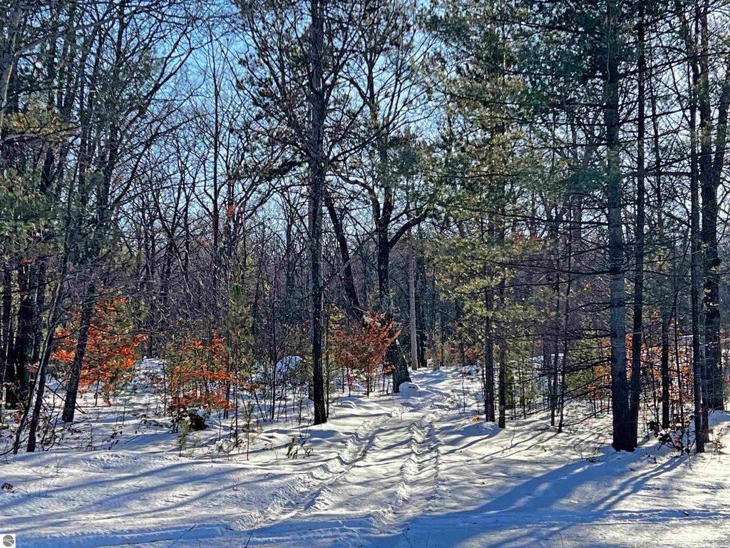 Image 5 of property listing at V/L W Watergate Road, Lake City, MI 49651