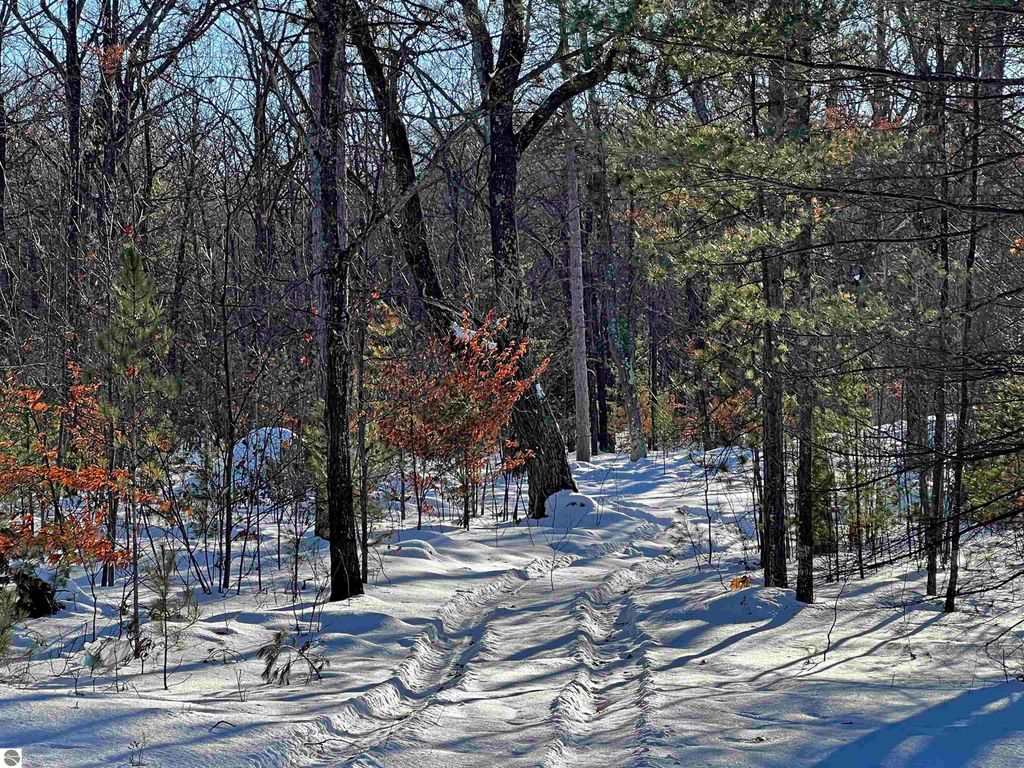 Image 6 of property listing at V/L W Watergate Road, Lake City, MI 49651